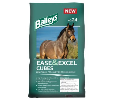 No.24 Ease & Excel Cubes